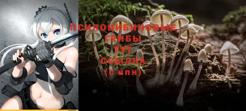 Псилоцибиновые грибы Psilocybine cubensis  продажа наркотиков  Лабытнанги 